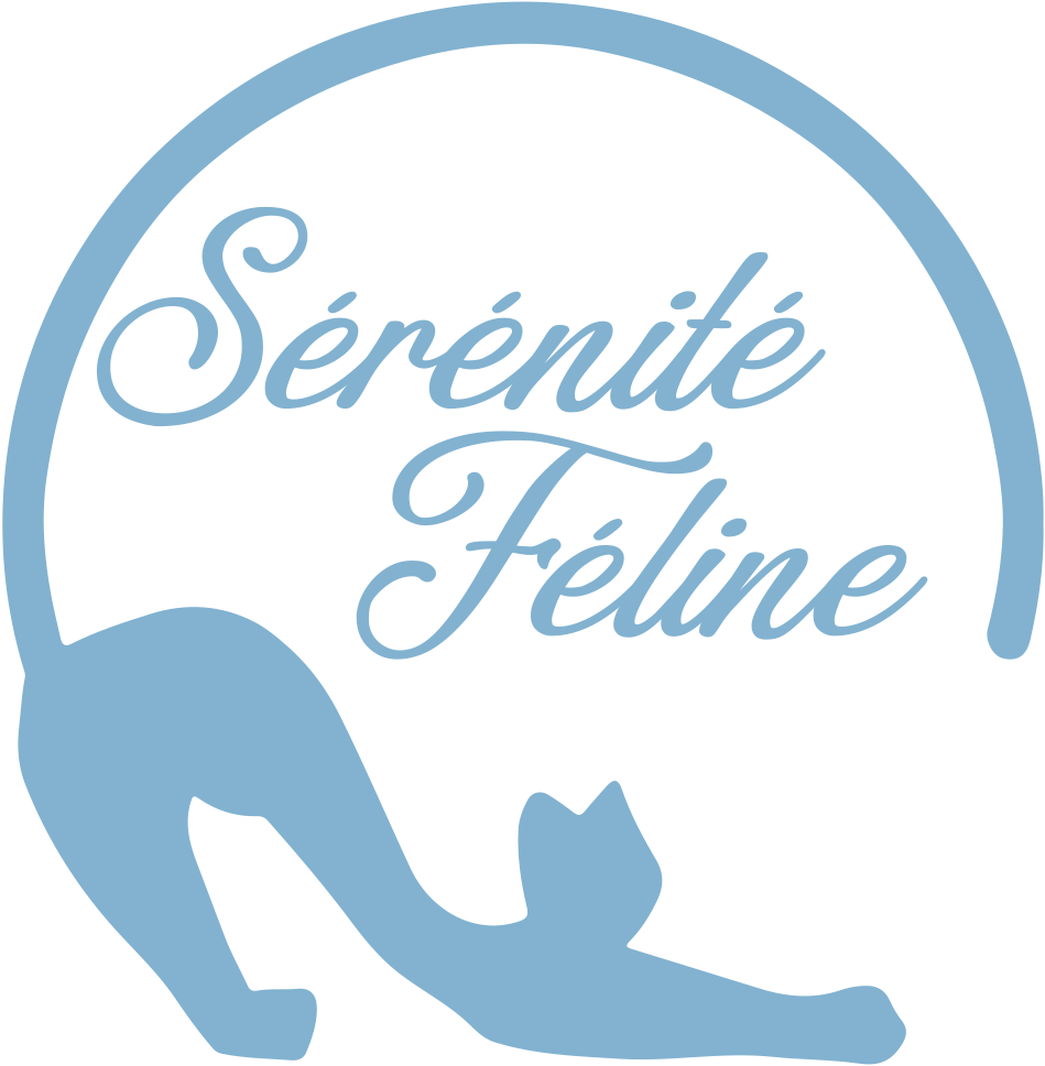 Comportementaliste spécialiste du Chat - Hôtel pension féline